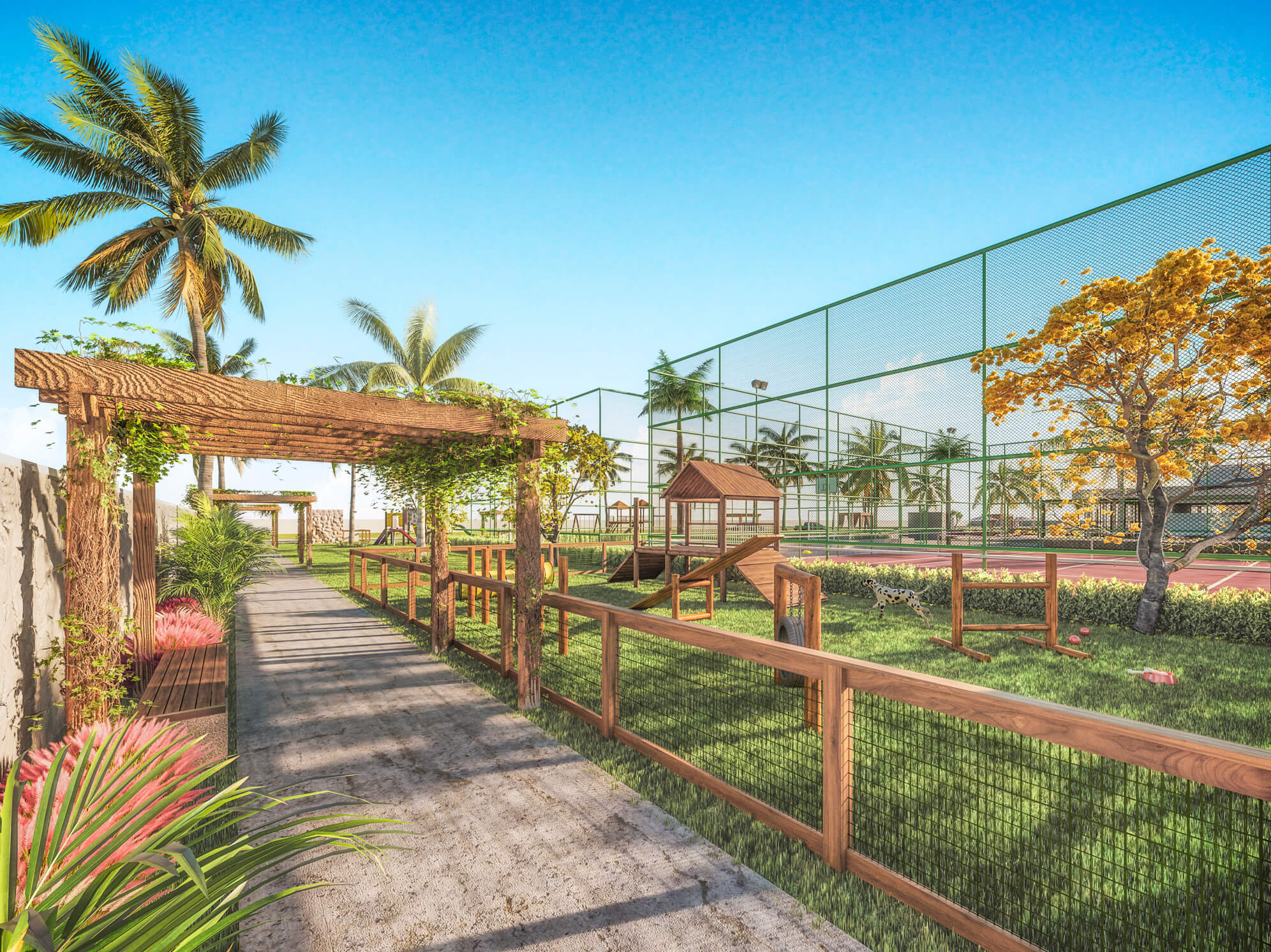 TAHAA---PET-PLAY-VISTA-01